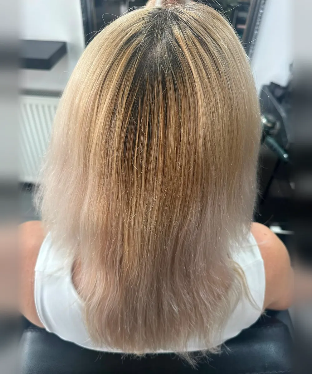Zjednotená blond, stav pred návštevou